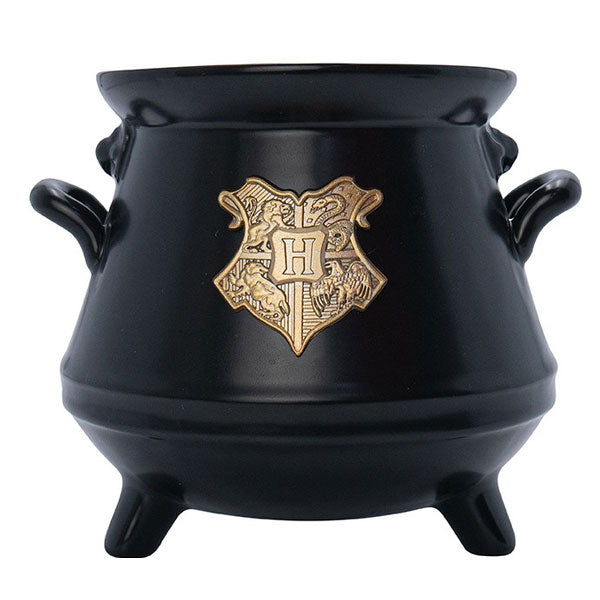 Harry Potter Cauldron 3D Mug