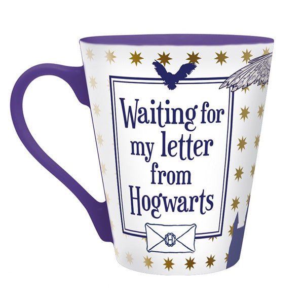 Harry Potter Hedwig Gift Set